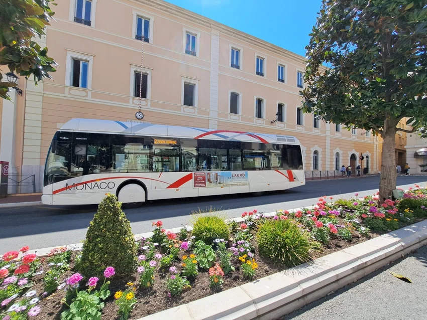 Dinamica Bus MC